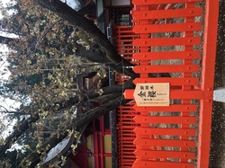 金桜神社2019-10.jpeg
