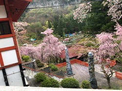 金桜神社2019-12.jpeg