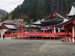 金桜神社2019-6.jpegのサムネール画像のサムネール画像