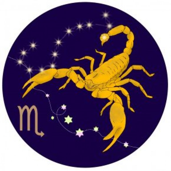 明日の夜、お月さまが新月になりますよ！