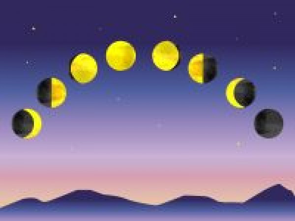 本日12：01に、お月さまが新月になりますよ！